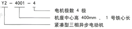 YR系列(H355-1000)高压YRKK6302-8/1000KW三相异步电机西安西玛电机型号说明